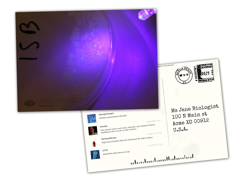 Mockup of the front of a DIYbio postcard